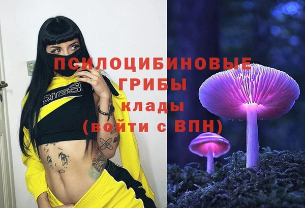 PSILOCYBIN Баксан