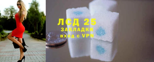 PSILOCYBIN Баксан