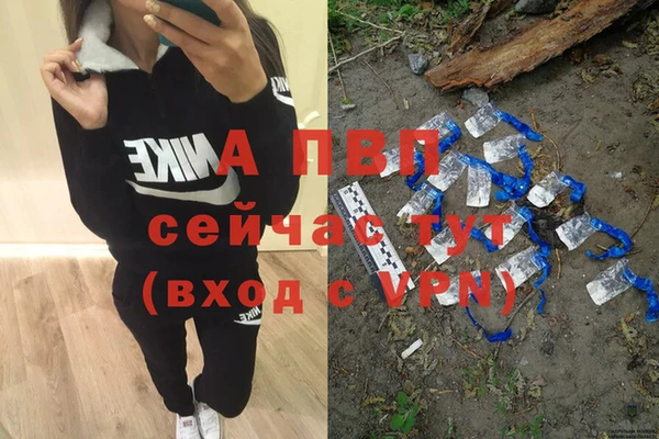 PSILOCYBIN Баксан