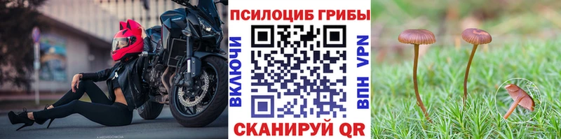 Галлюциногенные грибы Cubensis  Серов 